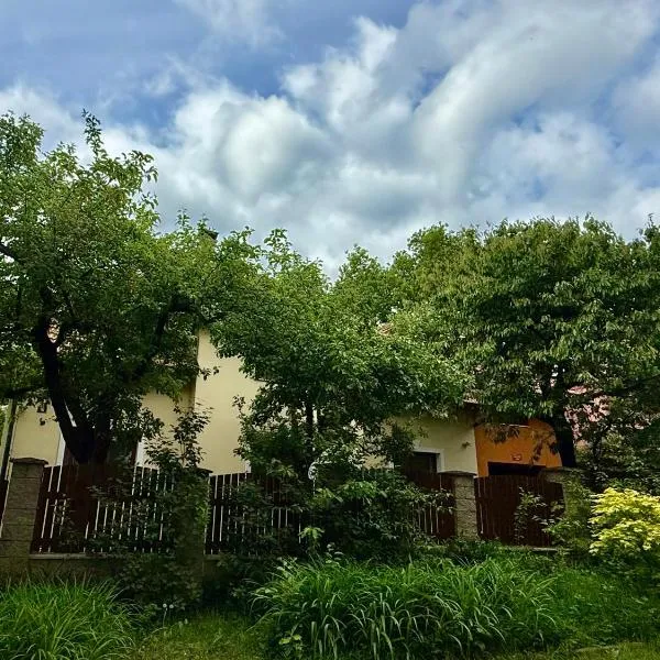 Beautiful house by the river with its own dock, hotel di Rabyně