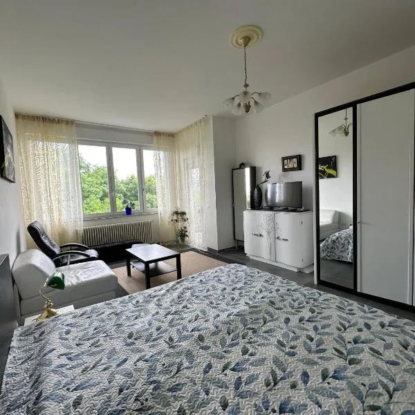 Guesthouse Ostello dell Arte, hotel v destinaci Trarego Viggiona