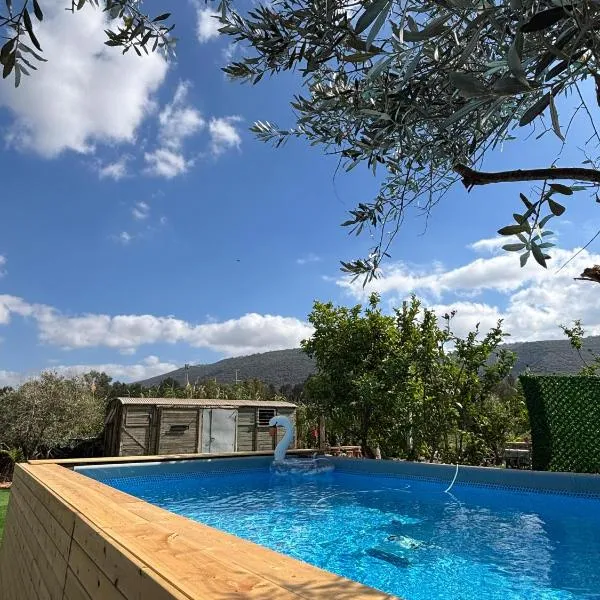בוסתן החורש, hotel v destinaci Haifa