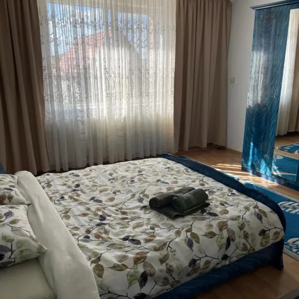 Casa Traiana, hotel in Şura Mică