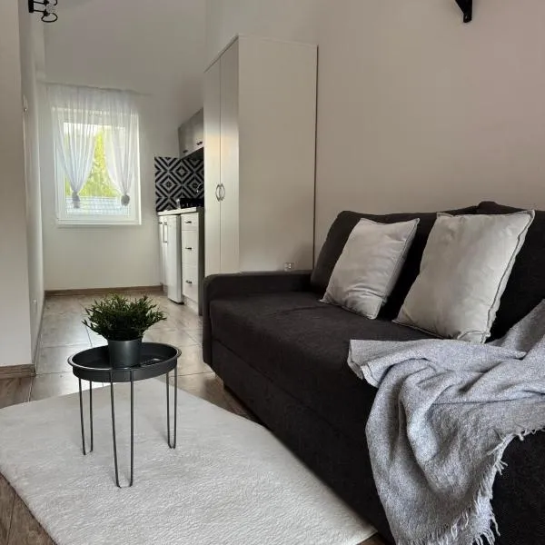 Apartamenty Jeżynowa 20, hotel v destinaci Rowy