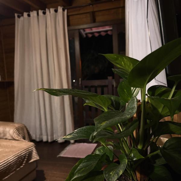 casa lagoa - Foto 3