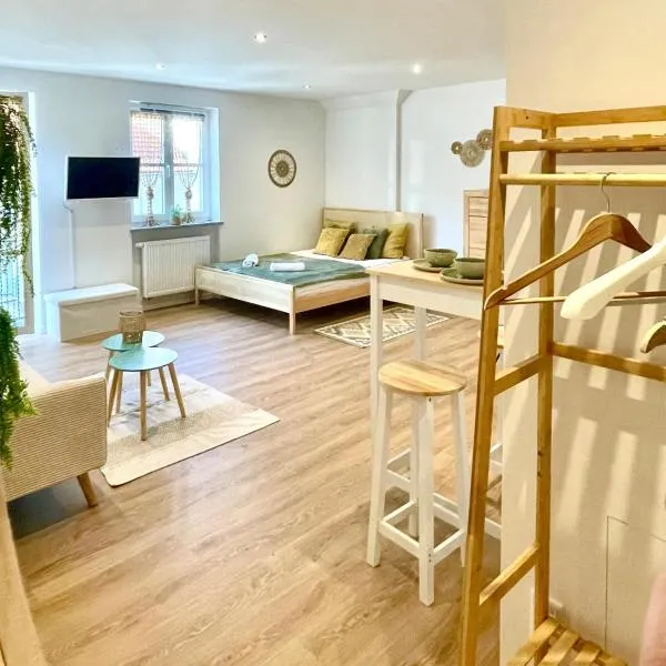 Altstadt INsel - workaction - free parking - Audi - Balkon - Aufzug, hotel in Ingolstadt