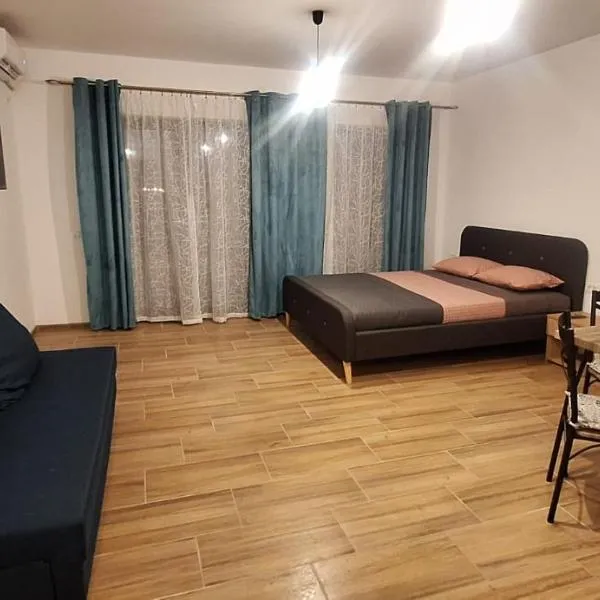 Studio Beach Please!, hótel í Costinesti