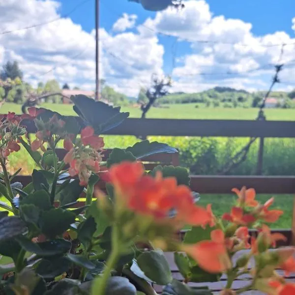 Apartman Mia, hotel in Perušić