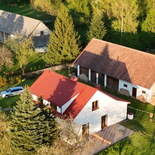 Śpimy u Dziadków - APARTAMENTY BIESZCZADY, hotel v destinácii Nowosielce Kozickie
