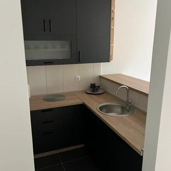 Apartment Ljalja 2, hotel in Ivišovo Greblje