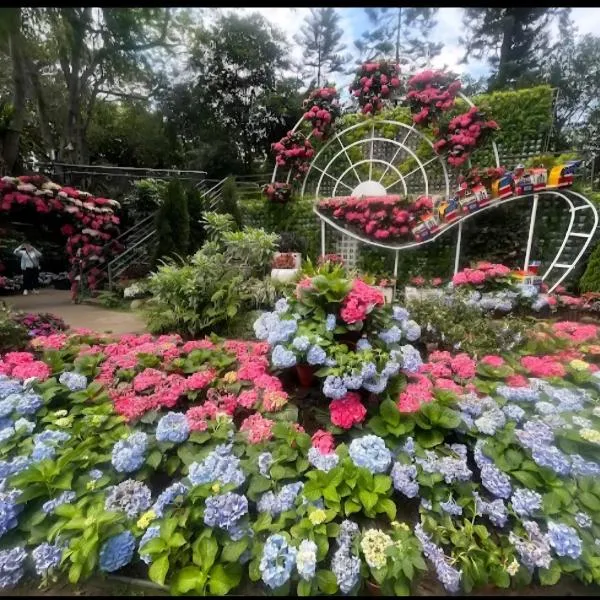 Miaoli Sanyi Shantongyazhu Homestay, готель у місті Саньї