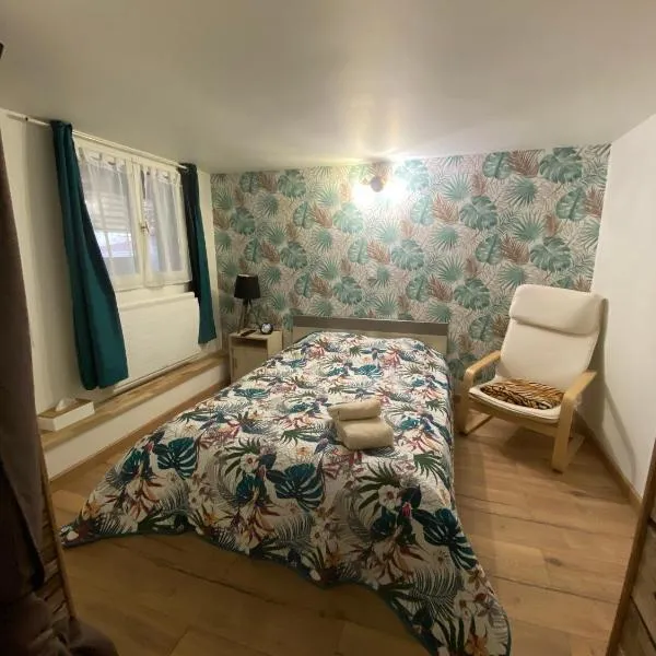 Chez mimi & Djo T2 cosy proche Disney et Paris, ξενοδοχείο σε Dampmart