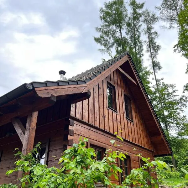 Roubenka u dědy, hotel in Humpolec