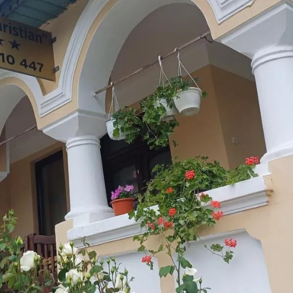 Casa Christian, hotell sihtkohas Călimăneşti