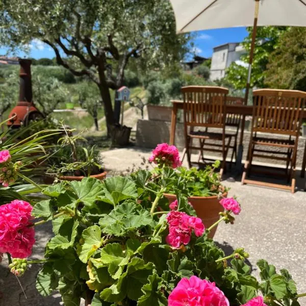 Casa vacanze 365 - verde, hotel v destinaci Tortoreto Lido