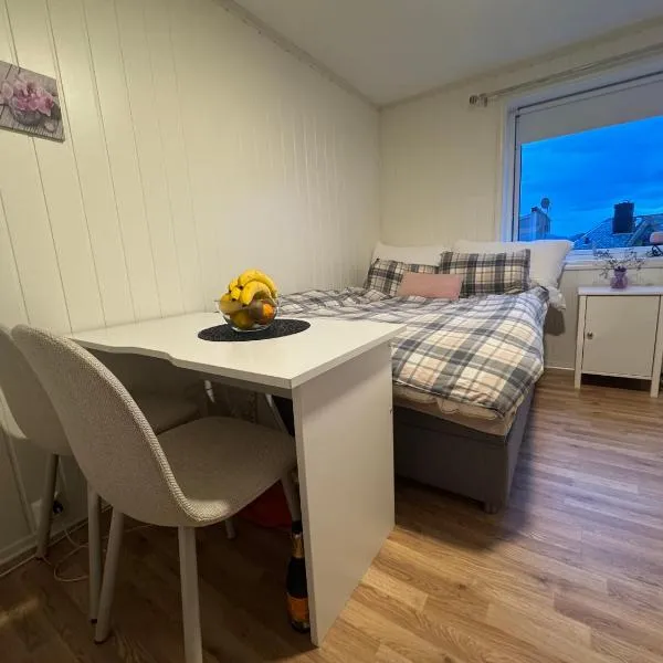 Alesund center room with double bed, hotel in Ålesund