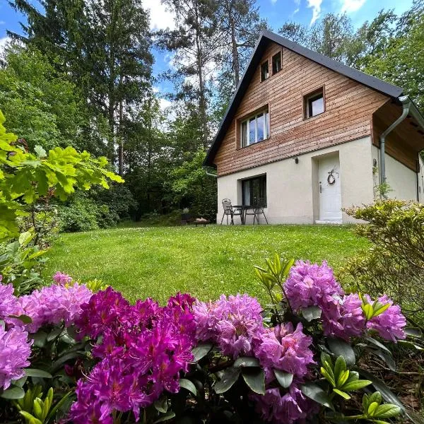 Cosy cottage with wellness, hotel in Mirošovice