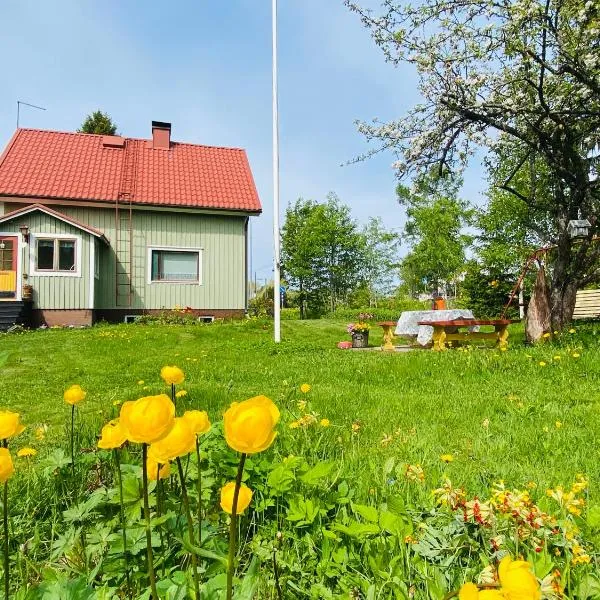 Toivola, hotel in Joroinen
