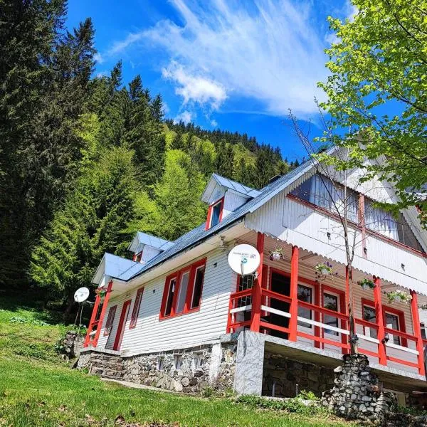 Cabana Dara, hotel in Cumpăna
