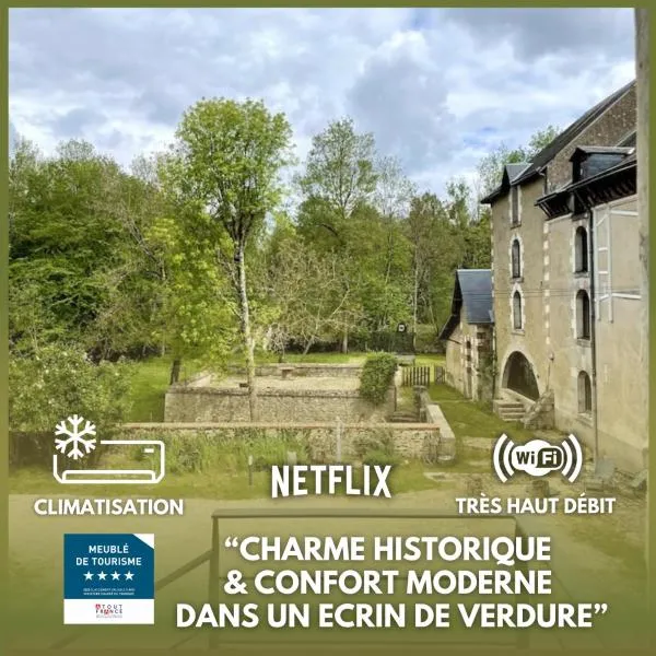 Gite du Meunier, Moulin de Vineuil, 4ch, 2sdb, hotel in Vineuil