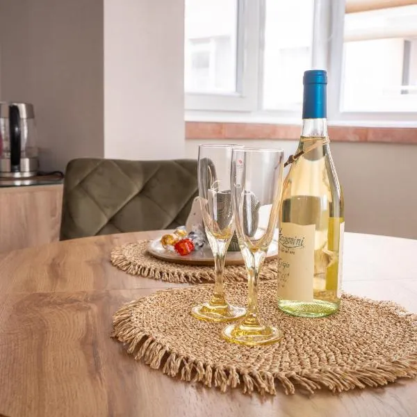Center and Old Town Apartment, hotel v destinaci Plovdiv