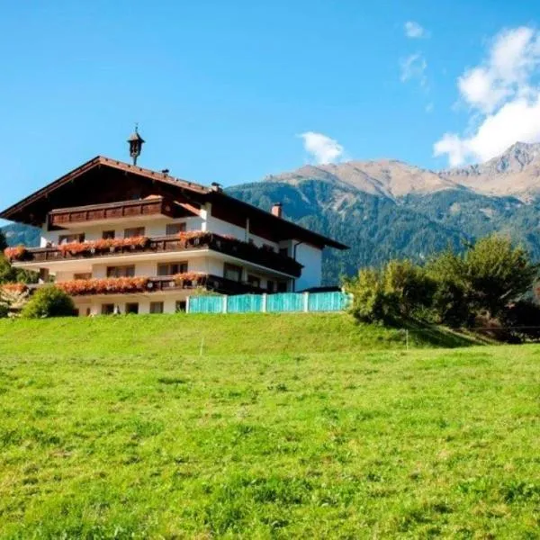 TAMERBURGERHOF，利恩茨的飯店
