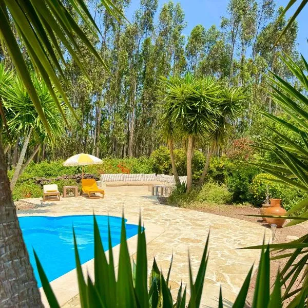 Wellbeing guesthouse Casa é Connosco, hotel in Alvaiázere