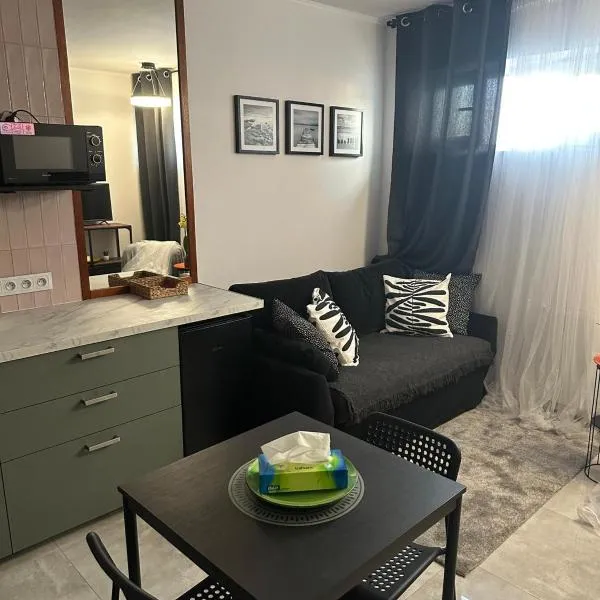 Stylish apartmens near Minsk Mazowiecki, hotel v destinaci Choszczówka