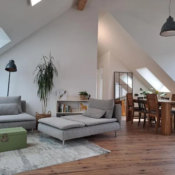 Rheinhessen-Loft, ξενοδοχείο σε Alzey