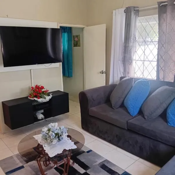 DOUG MANOR flat1, hotel in Portmore