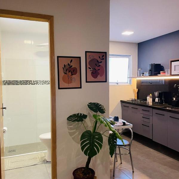 Moderno e Econômico Studio em Laranjeiras - Foto 3