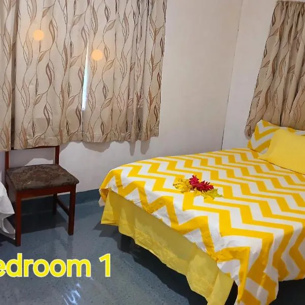 Grace Homestay, hotel in Naselesele