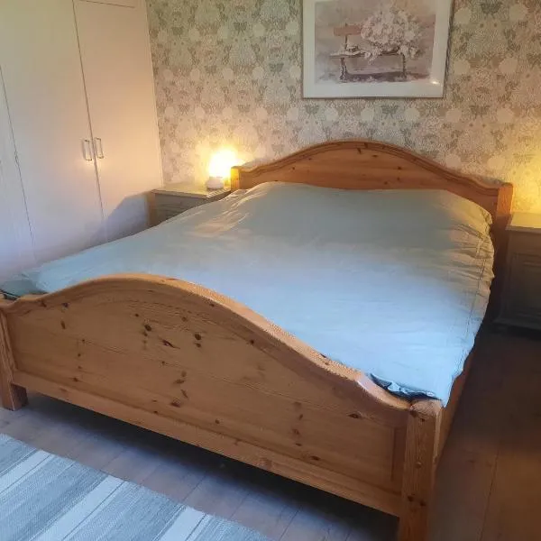 Hagälven i Hagfors, hotell sihtkohas Hagfors