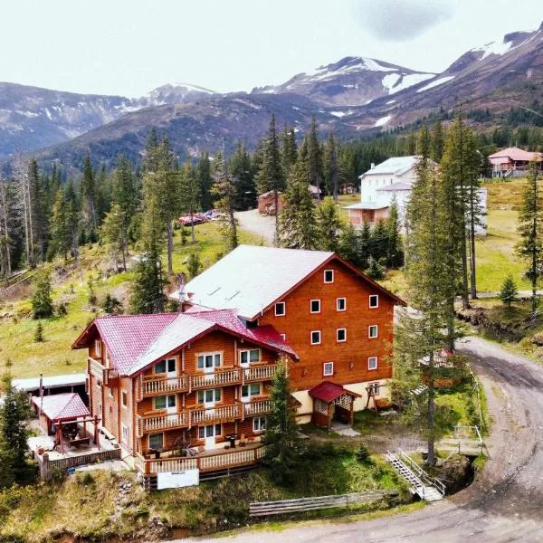 Alpin Eco Chalet & Wellness, hotel v destinaci Drahobrat