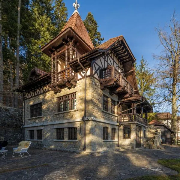 Vila Negoiu, hotel in Sinaia