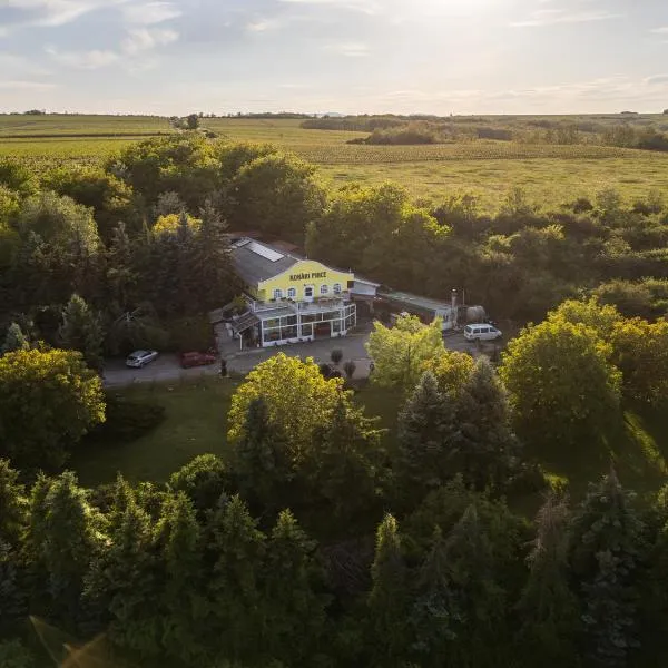 Kohári Vendégház és Pince, hotel v destinaci Egerszalók