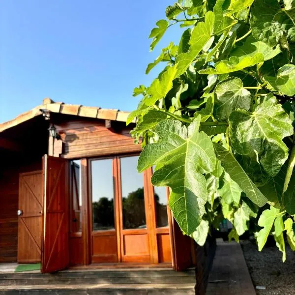 Casa de Madera, hotel in El Palmar