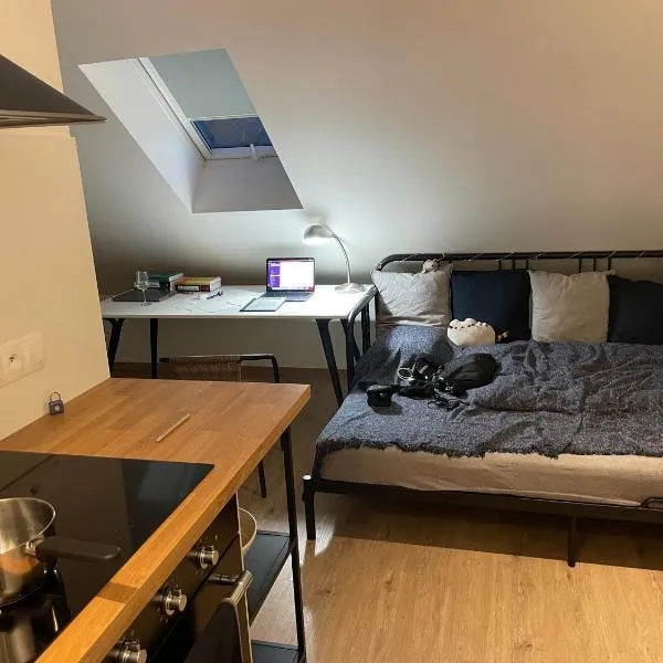 Útulný podkrovní ateliér se zahradou, hotel in Žernovka