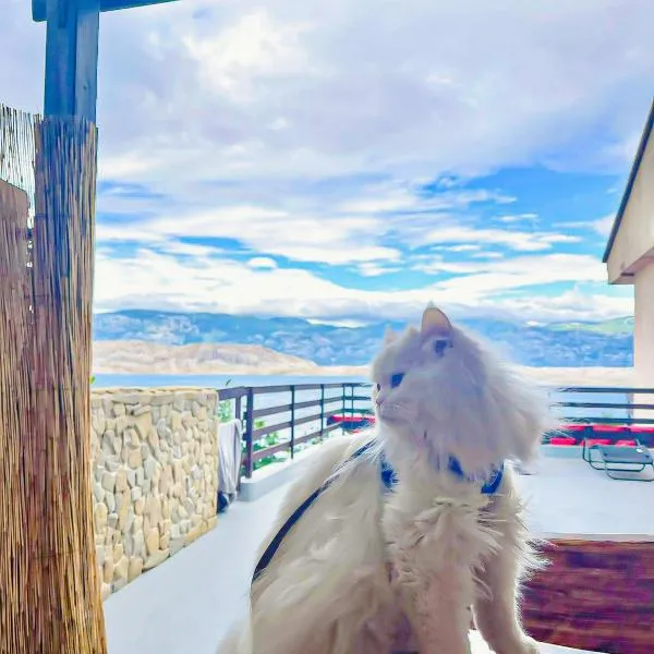 Mila Pet friendly holiday house with private place on the beach, hotel v destinaci Pag