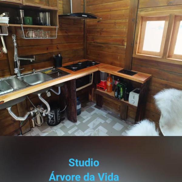 Studio Árvore da vida - Foto 3