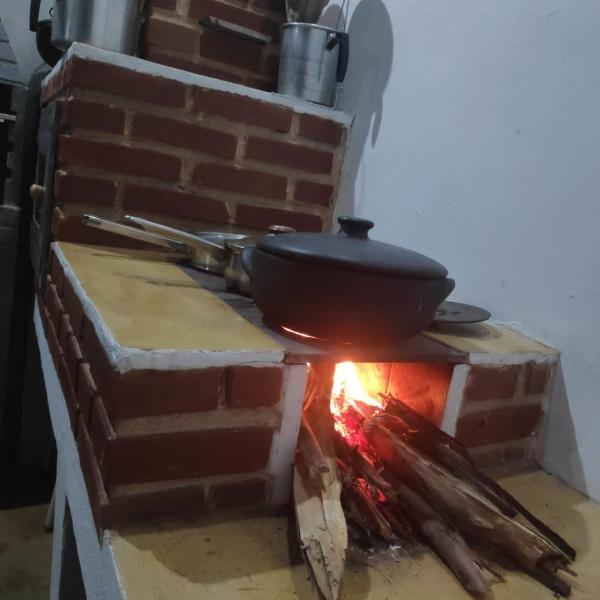 Studio Árvore da vida - Foto 5