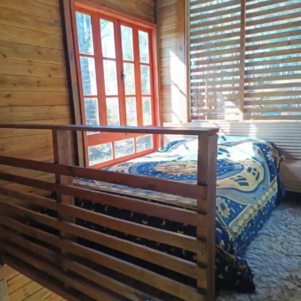 Studio Árvore da vida - Foto 2