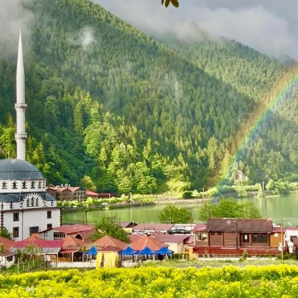 Ilhan Suite Hotel, hotel v destinaci Uzungöl