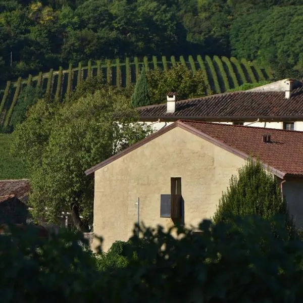 Villa del Brolo - Famiglia Furia, hotel in Mezzane di Sotto