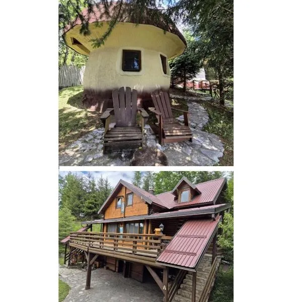 Art Apartments Minic, hotel v destinaci Kolašin