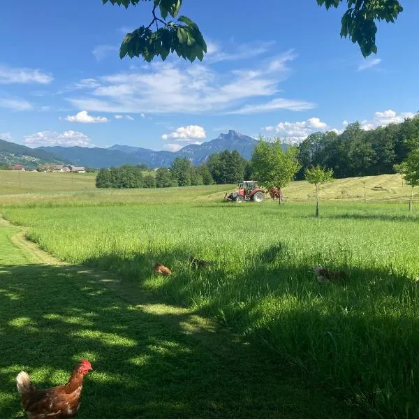 Ferienwohnung Mondsee-Irrsee, hotel Tiefgrabenben