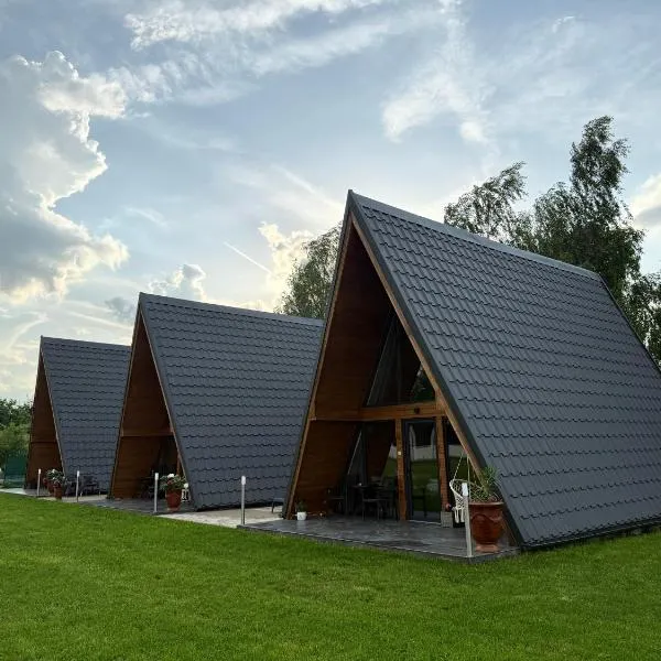 VVV House, hotel in Avrig