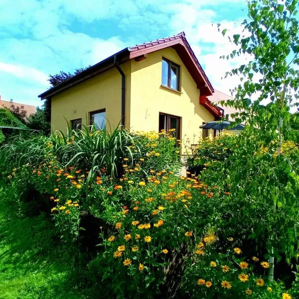 Całoroczny dom w lesie wśród odgłosów przyrody, hotel in Rogowo