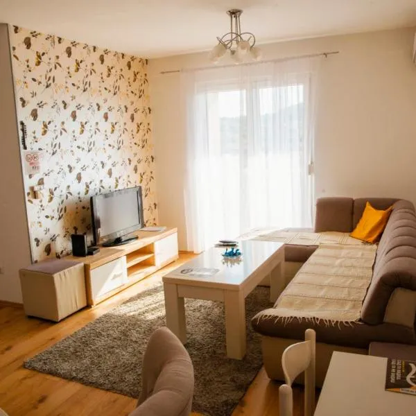 Apartman MAJNA, hotel in Modriča