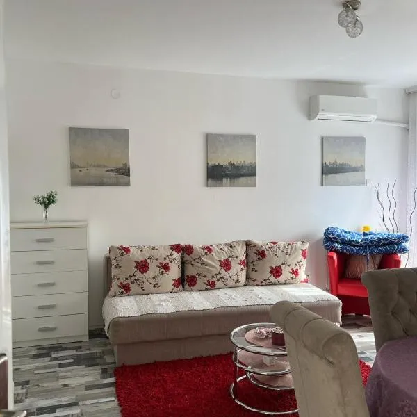 Loznica Centar Apartman, hotel in Loznica
