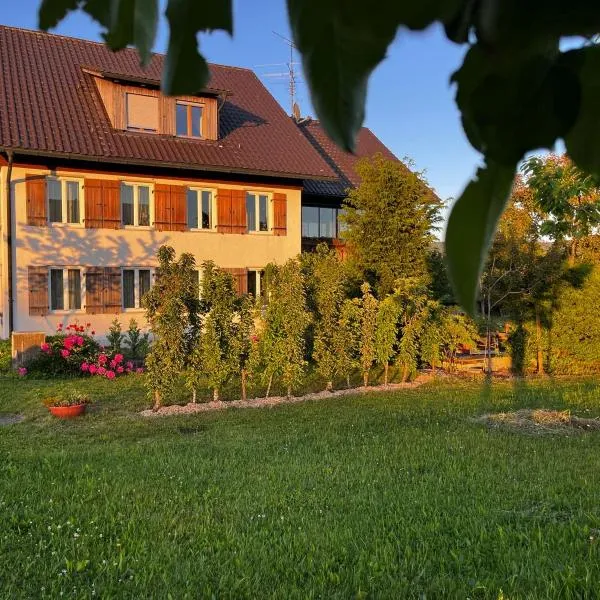 Ruhiges wohnen mit Bergblick, hotel in Hergensweiler