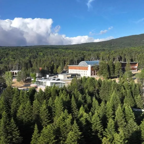 Swissotel Uludag Bursa, отель в Бурсе