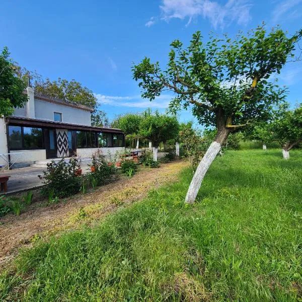 La Livadă, hotel di Vama Veche